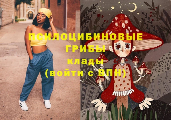 винт Абаза
