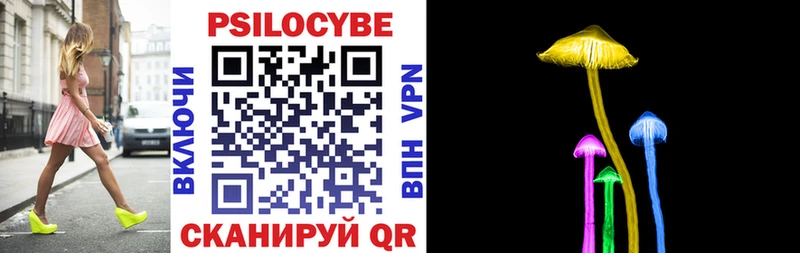 Псилоцибиновые грибы Psilocybe  наркотики  Чердынь 