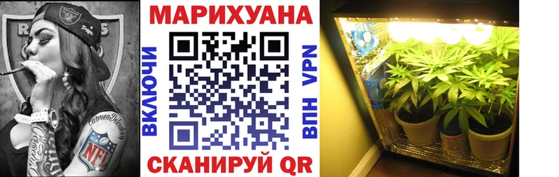 Шишки марихуана план  где купить   Чердынь 